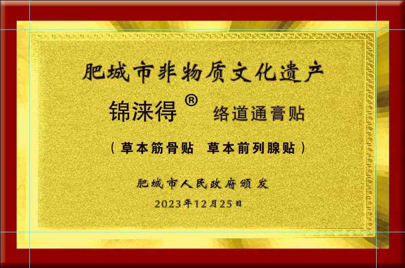 市非物质文化遗产证书